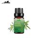10ml Rosemary Natural Essential Oil Aromatherapy COA OEM Custom Private Labele