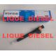 DELPHI Common Rail Injector 28602948 9674984080 28388960 D57Q-9F-893-BB D57Q9F893BB