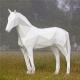 Large Metal Horse Garden Animal Sculptures Realistic Geometry For City