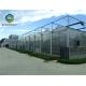 High transmittance 10.8m Polycarbonate Greenhouse  For  Agriculture Farm
