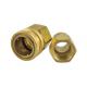 Medical Equipment Brass Quick Connect Hose Fittings