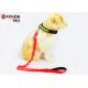 Nylon Light Up USB Rechargeable LED Dog Leash Easy Walking For Doggies