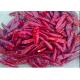 Tientsin Dried Birds Eye Chilli Anhydrous Whole Red Peppers XingLong