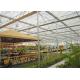 Steady Structure Double Wall Greenhouse , Polycarbonate Greenhouse High Corrosion Resistance