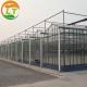 Film Covered Multi-Span Glass Greenhouse for Stable Structure and Planting Crops