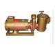 Brass  swimming pool equipment Centrifugal Pump Big Filtration Sea Water