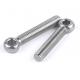 Zinc Plated Forged Stainless Steel Eye Bolt for Lifting in Industrial Environments