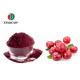 UTI Protection Freeze Dried Fruit Powder Bulk UV Test For Health Care Products