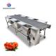 Automatic Vegetable Sorting Machine Selection Table Food Processor