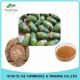 Best Selling Product Free Sample No Additives High Ratio Promote Decrease of Blood  Effect  Areca Nut Extract