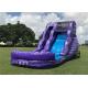 Funny Outdoor Inflatable Water Slide Custom Logo Strong Stucture CE Certificatio