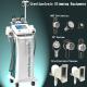 Professional fat reduction cryolipolysis slimming machine with 5 handles