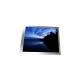 LS025A8GY21S 2.5 inch LCD Screen Module  Display Panel