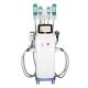 360 Cryolipolysis Slimming Machine Coolsculpting Weight Loss Body Contouring