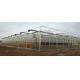 Multi Span Modern Plant Construction Agricultural Greenhouse