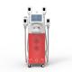 Portable two cryo handle work at the same time fat freezing vacuum slimming machine