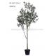 180CM Faux Olive Tree  Fruits 180CM Eco Friendly Plant Plastic Materials