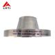 Customized Ti Gr2 Titanium WN Pipe Flange DN 10 - 2000 ASME B16.5