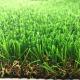 Artificial Grass for LandscapingW shape USA Quality Artificial Grass for Outdoor Garden Backyards Decoration