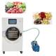 Pet 1500W Pet Freeze Dryer Strawberry Banana Apple Stainless Steel Machine