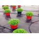 Durable Garden Ground Weed Control Fabric Farm Mulch Film Black Color Eco - Friendly