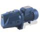 Heavy Duty Industrial Centrifugal Pumps , 370 - 2950 rpm Horizontal Dirty Water Pump