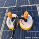 24 Hours Online Service Semi-Automatic Solar Panel Cleaning Robot with Double Heads and 3.5 Meter Flexible Pole