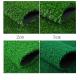 Curly PP 16800 Turfs / Sqm 6600 Dtex Leisure Lawn Artificial Grass