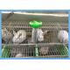 Welded Wire Mesh Fencing Panels Rabbit Battery Cage 3 Or 4 Layers