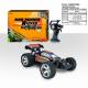 1:22 Scale  Small High Speed Remote control car