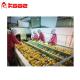 Ss304 Fruit Sorting Conveyor Roller Fruit Conveyor Sorter 220V 380V