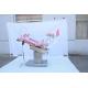 Gynaecology Examination Couch Gynecological Examination Bed Portable Medical Exam Table Medical Exam Room Tables