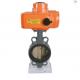 Ductile Iron CLASS150 220v Center Disc Butterfly Valve