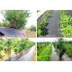 Vegetable Garden Ground Weed Control Fabric Weed Barrier Anti UV Moisture Proof