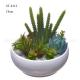 Mini Faux Succulent Cactus Aloe Potted Plant Arrangements Decorative Assorted
