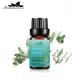 OEM Eucalyptus Oil Aromatherapy USDA 100% Pure Eucalyptus Essential Oil