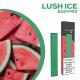 Pre-Filled Disposable Lush Ice Vaping Pen 280-350 Puffs Disposable Vape Pod Device