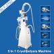 5 In 1 Cryolipolysis Freeze fat Equipment , Lipo Laser Cavitation RF Slimming