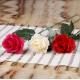 Silk Roses for Sale