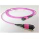 OM4 MPO MTP Fiber Optic Patch cord 8/12 Fiber Optical Pigtail