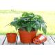 Plastic PP Desktop Horticultural Plant Pots Succulents Nursery Home Garden Plant