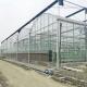 Round Tunnel Tempered Venlo Glass Greenhouse Multi Span Automatic Hydroponics