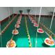 Broiler Chicken Layers Auto Feeding System Plastic Feed Pans