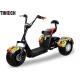 Comfortable Back Cushion Three Wheeled Motorcycle Scooter Wide Tire Design TM-TX-08