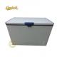 R600a Commercial Refrigeration Equipment , 299L Supermarket Chest Freezer