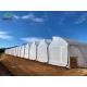Green Leaves Vegetables Film PC Sheet Agricultural Multi-Span Greenhouses for Hydroponics