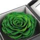 Green Forever Rose In A Box , Elegant Square Everlasting Roses In A Box