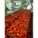 SS304 Tomato Processing Line 20T/H Ketchup Processing Line High Performance