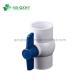 2 Inch White PVC Compact Ball Valve with ANSI Standard Low Temperature Compatibility