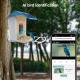 Wildlife Wifi Camera AI Recognize Bird Species Smart Bird Feeder for Outdoor Garden with Solar Panel